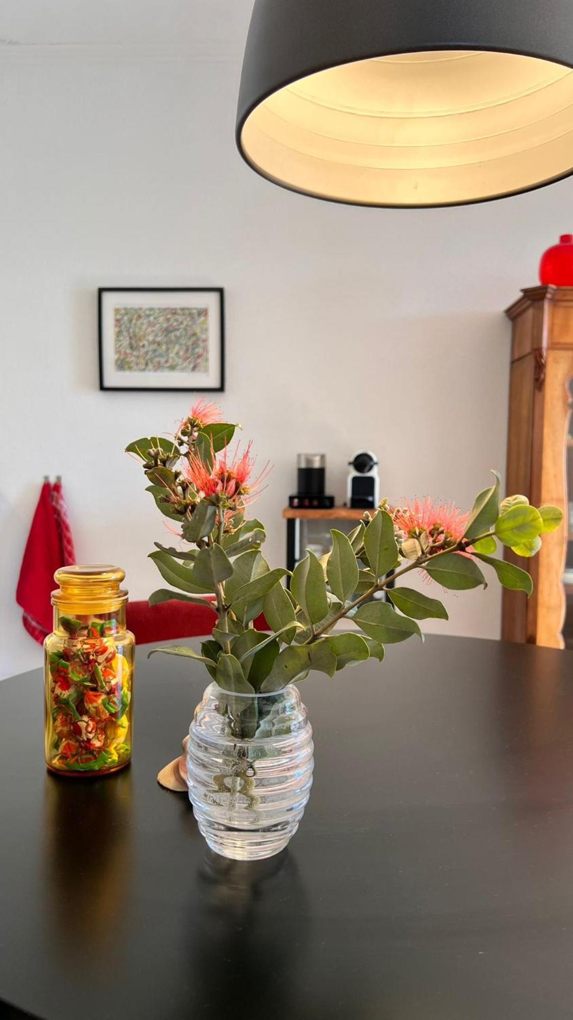 Arriba Stijlvol Appartement Met Zwembad En Tuin Conil De La Frontera Zewnętrze zdjęcie